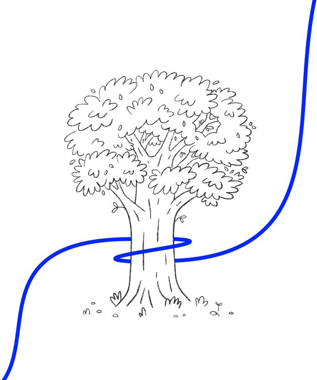 1440px.jpg