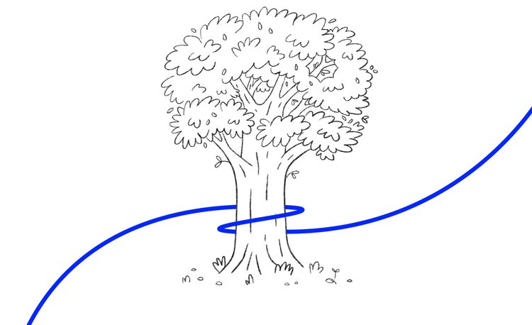600px.jpg