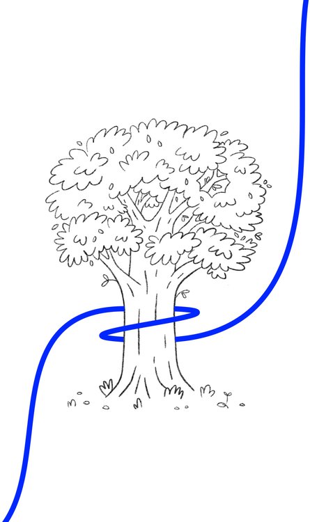 960px.jpg